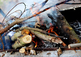 Burning wood in a brazier. Fire.