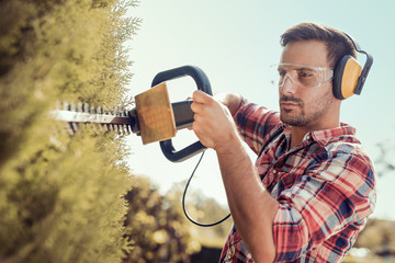 Hedge trimming,works in a garden