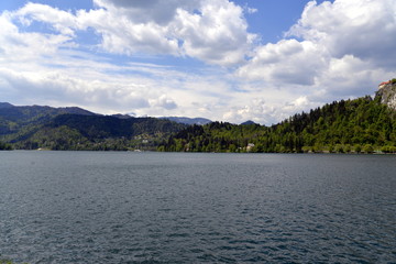 BLED