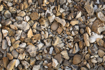 Pebbles of different shapes