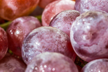 Uvas no cacho.