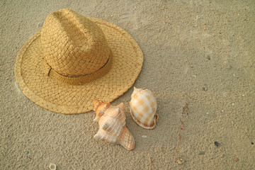Light brown straw hat on the sand beach with two types of beautiful natural seashells
