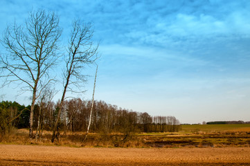 The image of farmland.