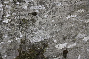Background Wood Stone Sky