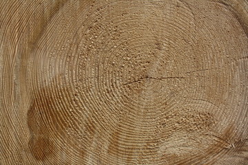 Background Wood Stone Sky