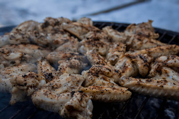 Delicious chicken wings on garden grill
