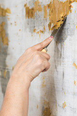 Female hand with a spatula protects the wall