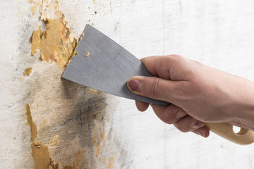 Female hand with a spatula protects the wall