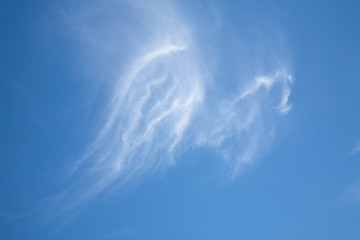 wings of angel on the blue sky