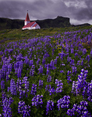 Church in Vik