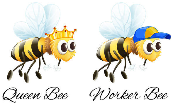 Queen bee and worker bee characters