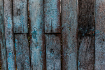 The old fence with wooden planks with torn blue paint