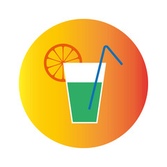 summer icon fl