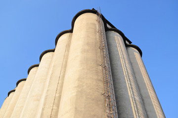 High concrete silos, frog's perspective