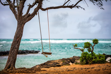 swinging by the ocean
