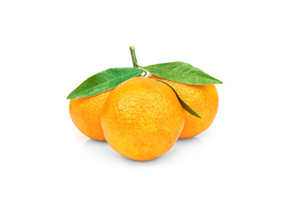 Three fresh tangerines with leaves on white background