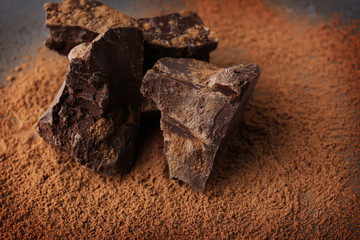 Chocolate pieces with cocoa powder, closeup