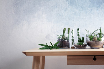 Florarium in glass vases with succulents on wooden table