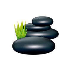 Fototapeta na wymiar color spa volcanic rocks with grass icon, vector illustraction design