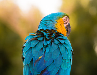 gazing into the blur 