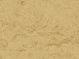 鳳凰金銀和紙 / シームレス / Paper texture / Phoenix gold silver / Seamless
