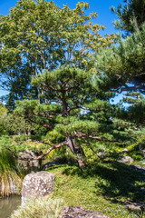 The Japanese Garden, Hamilton Gardens, New Zealand