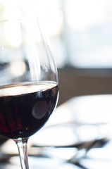 Wine in a Wine Glass on a Light Background