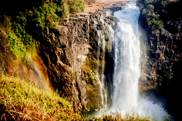 Landscape in Victoria Falls