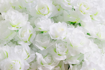 Artificial Jasmine white flowers