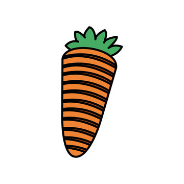 colorful vegetable carrot icon, vector illustraction design image