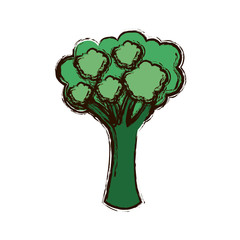 green vegetable broccoli icon, vector illustraction design image
