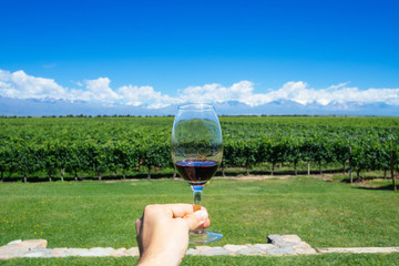 Masculine hand holding glass of wine with Andes and Winery on the Background in Mendonza, Argentine