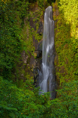 Trafalgar falls dominica