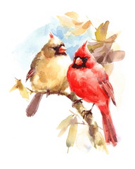 Male and Female Cardinals sitting on the Branch Two Birds Watercolor Hand Painted Greeting Card Fall Illustration - 138903663