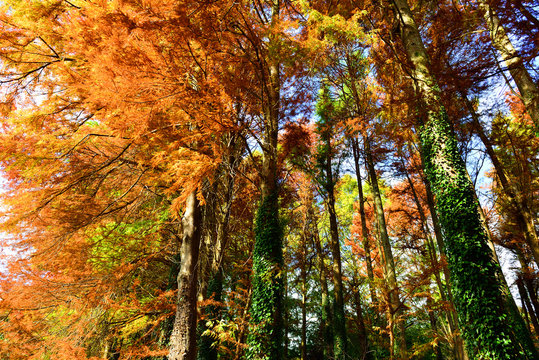 「物産館」の画像 153 件の Stock 写真、ベクターおよびビデオ Adobe Stock