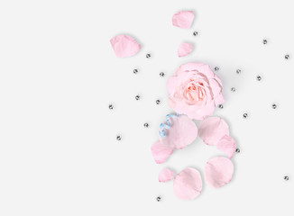 Flat lay. Top view. March 8th. International Woman's day. Pink rose, petals on white background