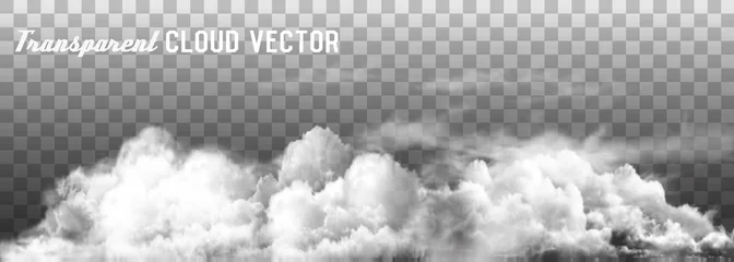 Tuinposter Wolken vector op transparante achtergrond. © ecco