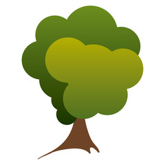 colorful silhouette green tree nature icon vector illustration