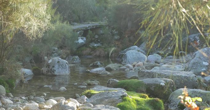 Idyllic Stream Course Close Up With Flies, Portugal
