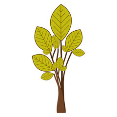 ramifications with green leaves plant icon vector illustration