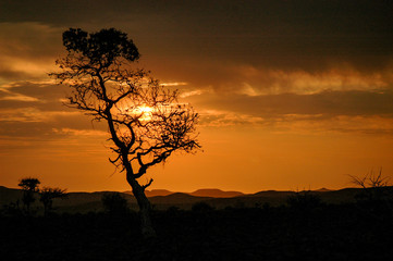Fototapeta na wymiar Sunset landscape in Africa