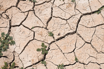 Crack dry ground drought texture background.