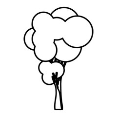 sketch silhouette tree with rounded shape leaves vector illustration