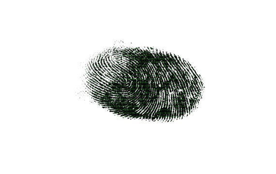 Two photographs are marge here. One is digitally made matrix and another is fingerprinting. The photo of matrix is prepared in image processing software. It consists of 7 layers.