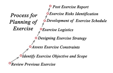 Process for Planning of Exercise