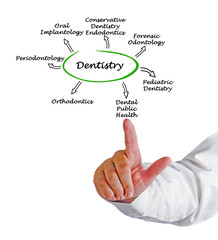 Diagram of Dentistry