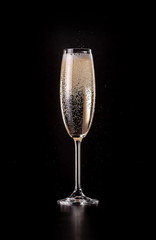 glass of sparkling champagne with bubbles on black background
