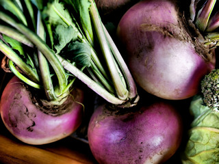 Red turnips / Japanese vegetable / 赤かぶ