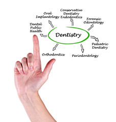 Diagram of Dentistry