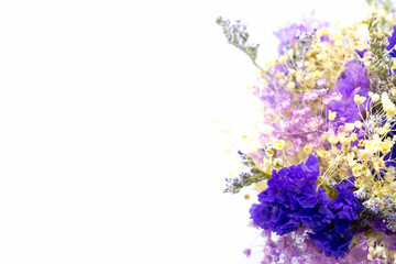 Fototapeta na wymiar bouquet of flowers hydrangea on white background